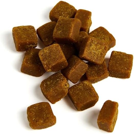 Ollie Zoomies Dog Hip and Joint Supplement 60 Masticables