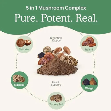 REAL MUSHROOMS - Real Mushrooms 5 Defenders 200 Capsulas - The Red Vitamin MX - Suplementos Alimenticios - {{ shop.shopifyCountryName }}