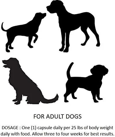 ESSENTIAL PET - Essential Pet Probiotics with Direct-fed Microorganisms for Digestive Support 90 Capsulas - The Red Vitamin MX - Probióticos Para Perros - {{ shop.shopifyCountryName }}