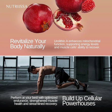 NUTRIISSA - Nutriissa Urolithin A 1000Mg. 120 Capsulas Blandas - The Red Vitamin MX - Suplementos Alimenticios - {{ shop.shopifyCountryName }}