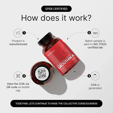 NUTRIISSA - Nutriissa Urolithin A 1000Mg. 120 Capsulas Blandas - The Red Vitamin MX - Suplementos Alimenticios - {{ shop.shopifyCountryName }}