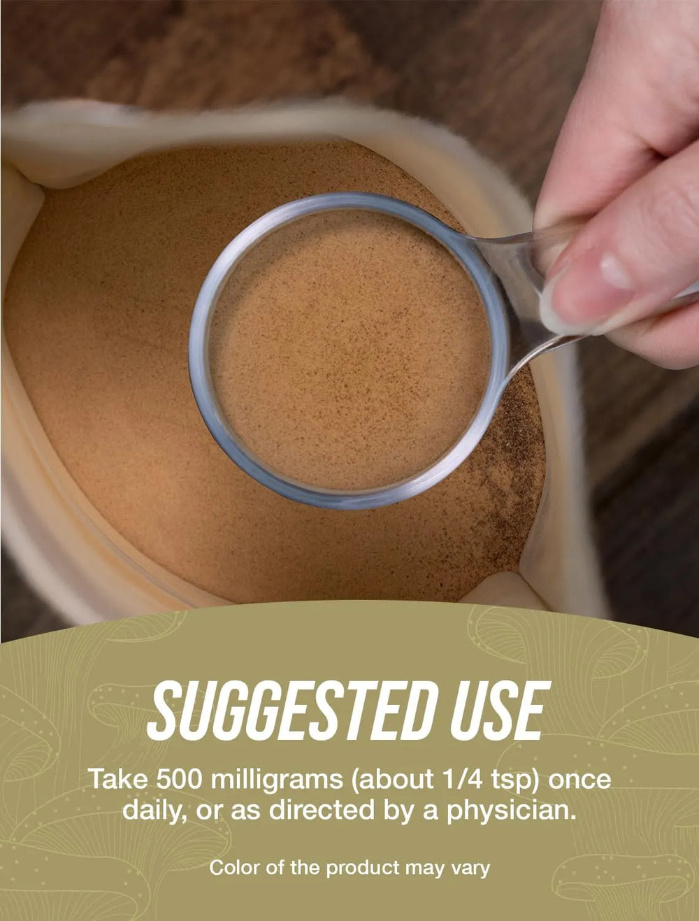 BULK SUPPLEMENTS - Bulk Supplements Maitake Mushroom Extract Powder 500Gr. - The Red Vitamin MX - Suplementos Alimenticios - {{ shop.shopifyCountryName }}