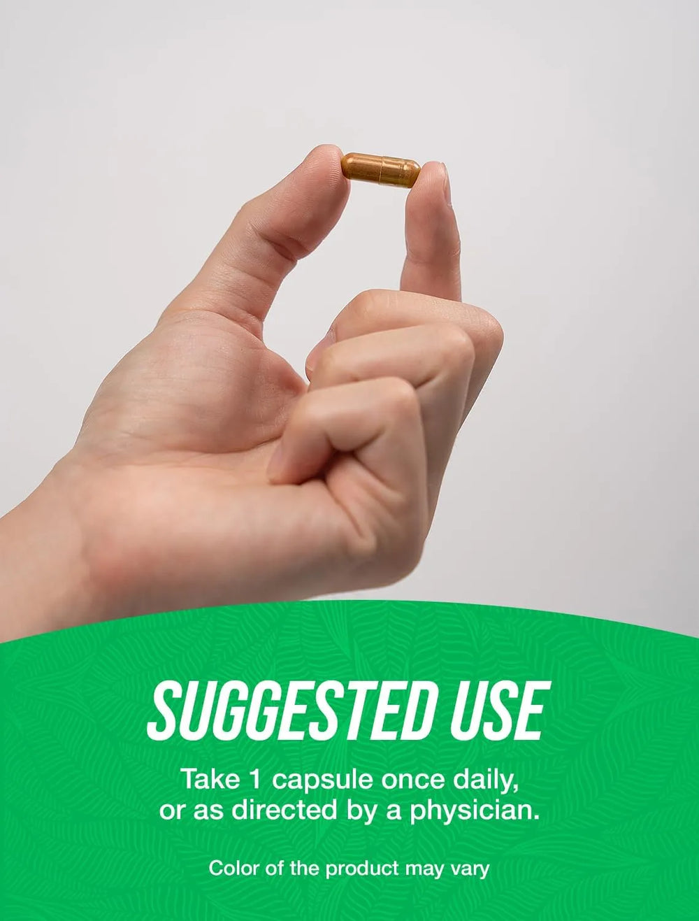 BULK SUPPLEMENTS - Bulk Supplements Nattokinase 4000 FU 120 Capsulas - The Red Vitamin MX - Suplementos Alimenticios - {{ shop.shopifyCountryName }}