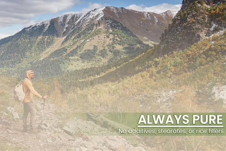 PURE ORIGINAL INGREDIENTS - Pure Original Ingredients White Mulberry Leaf Extract 100 Capsulas - The Red Vitamin MX - Suplementos Alimenticios - {{ shop.shopifyCountryName }}