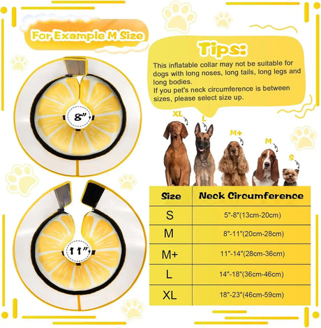 CNEO - Cneo Inflatable Dog Cone Collar with Detachable Enhanced Anti-Licking Shield LEMON XLARGE - The Red Vitamin MX - Collares y Conos De Recuperación Para Perros - {{ shop.shopifyCountryName }}