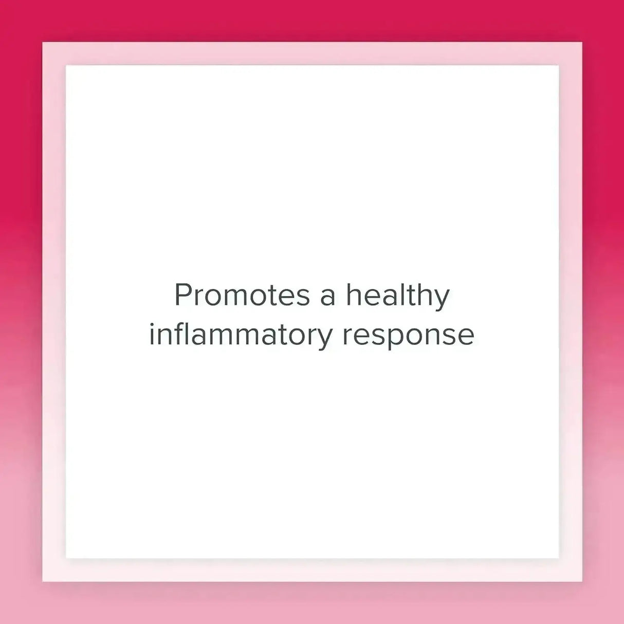 NATURAL FACTORS - Natural Factors GrapeSeedRich Grape Seed Extract 90 Capsulas - The Red Vitamin MX - Suplementos Alimenticios - {{ shop.shopifyCountryName }}