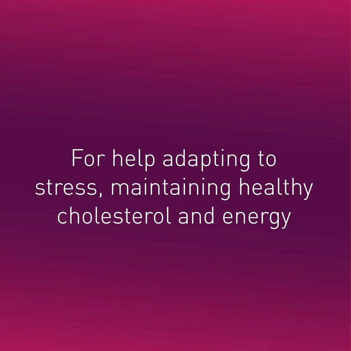 NATURAL FACTORS - Natural Factors BioCoenzymated Active B Complex 60 Capsulas - The Red Vitamin MX - Suplementos Alimenticios - {{ shop.shopifyCountryName }}