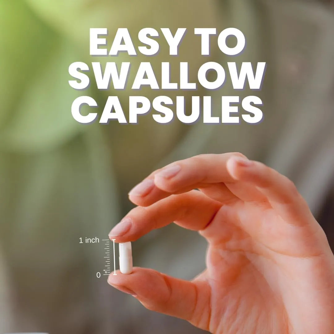 NUTRA GURU - Nutra Guru Moringa 90 Capsulas - The Red Vitamin MX - Suplementos Alimenticios - {{ shop.shopifyCountryName }}