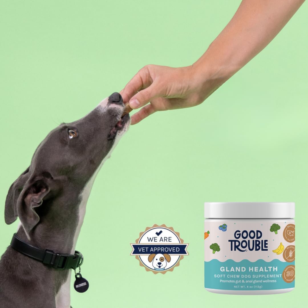 Good Trouble Gland Health Soft Chew Supplements for Dogs 30 Masticables 2 Pack