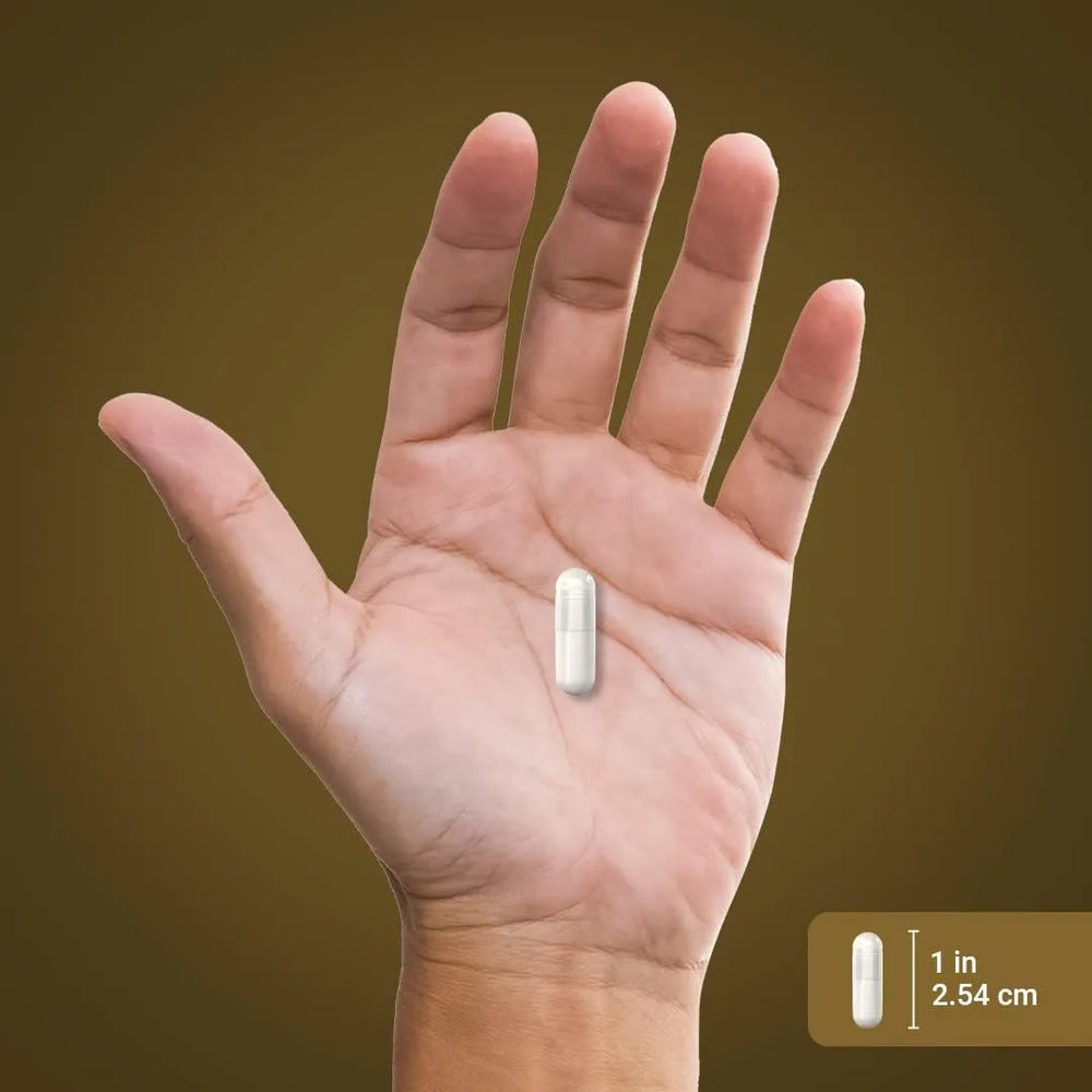 PIPING ROCK - Piping Rock Royal Jelly 2500Mg. 120 Capsulas - The Red Vitamin MX - Suplementos Alimenticios - {{ shop.shopifyCountryName }}