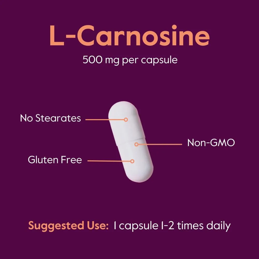 BESTVITE - BESTVITE L-Carnosine 500Mg. 120 Capsulas 2 Pack - The Red Vitamin MX - Suplementos Alimenticios - {{ shop.shopifyCountryName }}