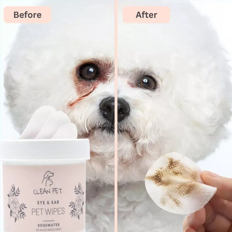 CLEAN PET - Clean Pet Eye & Ear Pet Wipes Rosewater 100 Toallitas - The Red Vitamin MX - Cuidado De Los Ojos De Los Perros - {{ shop.shopifyCountryName }}