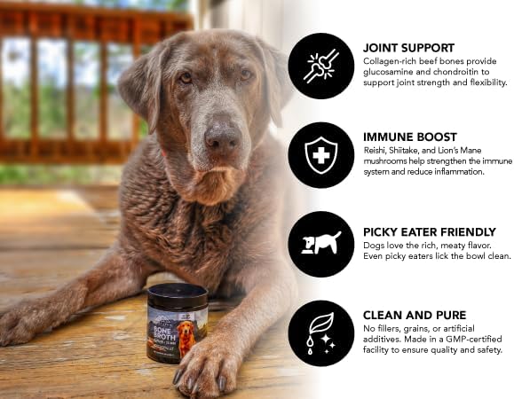 NORTHERN CASCADES - Northern Cascades Bone Broth for Dogs with Medicinal Mushrooms 60 Servicios 85Gr. - The Red Vitamin MX - Suplementos Herbales Para Perros - {{ shop.shopifyCountryName }}
