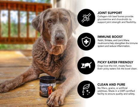 NORTHERN CASCADES - Northern Cascades Bone Broth for Dogs with Medicinal Mushrooms 60 Servicios 85Gr. - The Red Vitamin MX - Suplementos Herbales Para Perros - {{ shop.shopifyCountryName }}