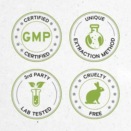 SECRETS OF THE TRIBE - Secrets of the Tribe Chanca Piedra Alcohol-Free Tincture Extract 4 Fl.Oz. - The Red Vitamin MX - Suplementos Alimenticios - {{ shop.shopifyCountryName }}