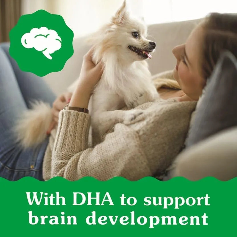 GREENIES - Greenies Puppy Teenie Size Natural Dental Dog Treats 43 Piezas - The Red Vitamin MX - Cuidado Dental Para Perros - {{ shop.shopifyCountryName }}