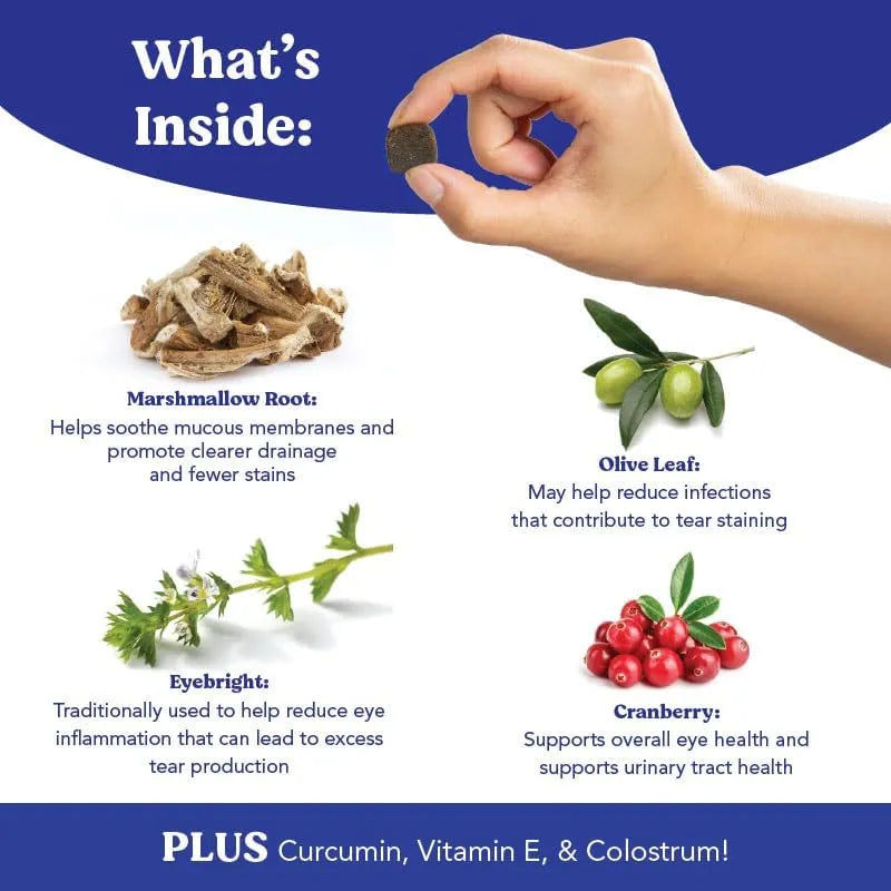 ANGELS' EYES - ANGELS' EYES Natural Tear Stain Prevention Soft Chews Beef Flavor 90 Masticables - The Red Vitamin MX - Cuidado De Los Ojos De Los Perros - {{ shop.shopifyCountryName }}