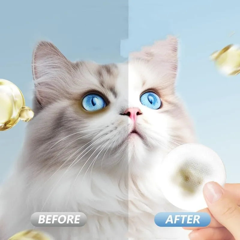 MYEBONG - MYEBONG Eye Wipes for Dogs 200 Toallitas - The Red Vitamin MX - Cuidado De Los Ojos De Los Perros - {{ shop.shopifyCountryName }}