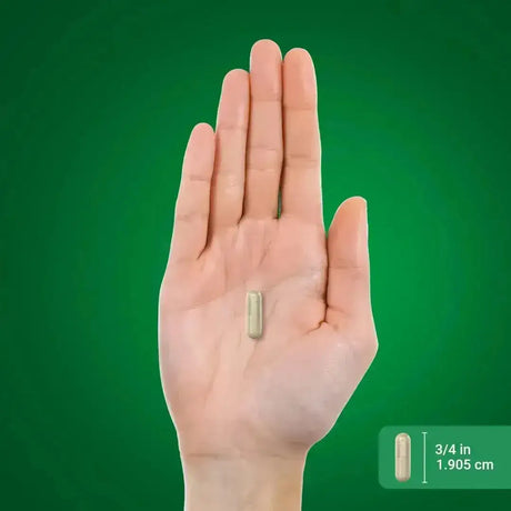 PIPING ROCK - Piping Rock Hops Extract 700Mg. 180 Capsulas - The Red Vitamin MX - Suplementos Alimenticios - {{ shop.shopifyCountryName }}