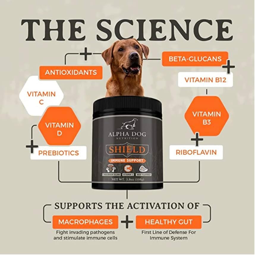 ALPHA DOG NUTRITION - Alpha Dog Nutrition Shield Allergy Immune Support 7 Nutritional Mushroom Powder Complex + Vitamin C 54Gr. - The Red Vitamin MX - Suplementos Herbales Para Perros - {{ shop.shopifyCountryName }}