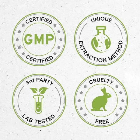 SECRETS OF THE TRIBE - Secrets of the Tribe Kale 1000Mg. 120 Capsulas - The Red Vitamin MX - Suplementos Alimenticios - {{ shop.shopifyCountryName }}