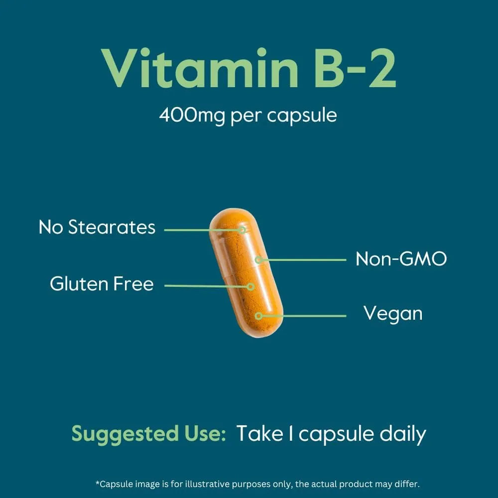 BESTVITE - BESTVITE Vitamin B-2 400Mg. 120 Capsulas 2 Pack - The Red Vitamin MX - Suplementos Alimenticios - {{ shop.shopifyCountryName }}