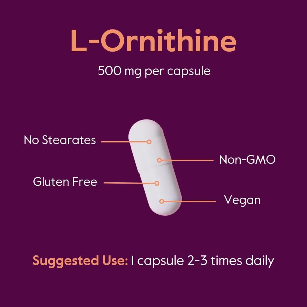 BESTVITE - BESTVITE L-Ornithine 500Mg. 240 Capsulas - The Red Vitamin MX - Suplementos Alimenticios - {{ shop.shopifyCountryName }}