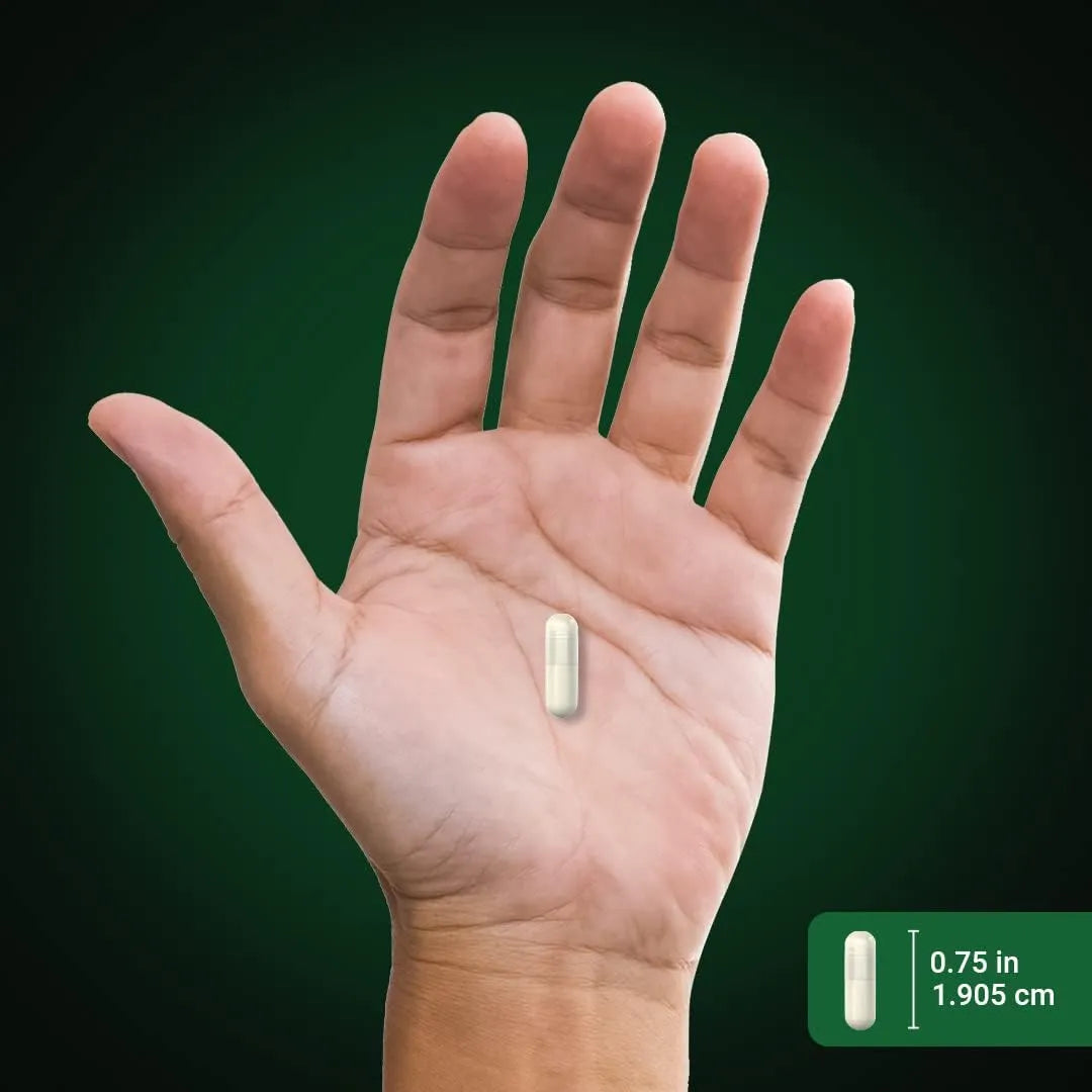 PIPING ROCK - Piping Rock Milk Thistle Seed 3000Mg. 200 Capsulas - The Red Vitamin MX - Suplementos Alimenticios - {{ shop.shopifyCountryName }}