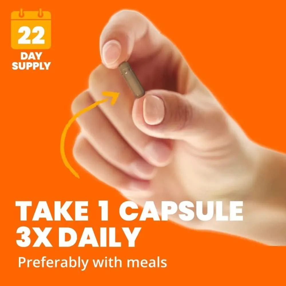 SUNDOWN - Sundown Cinnamon Supports Sugar Metabolism 200 Capsulas - The Red Vitamin MX - Suplementos Alimenticios - {{ shop.shopifyCountryName }}