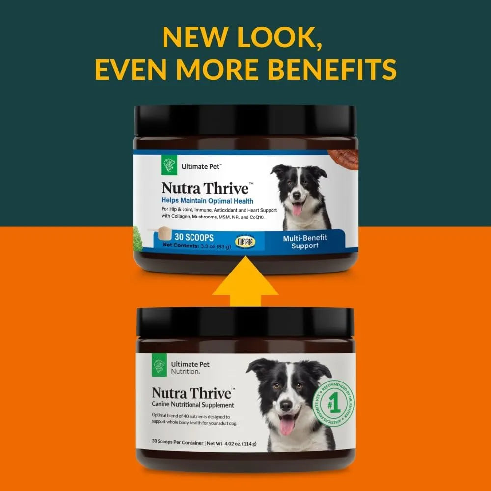 ULTIMATE PET - Ultimate Pet Nutrition Nutra Thrive Canine 40-in-1 Nutritional Powder 30 Servicios 93Gr. - The Red Vitamin MX - Multivitamínicos Para Perros - {{ shop.shopifyCountryName }}