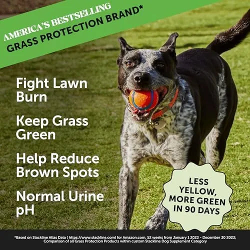 PET HONESTY - Pet Honesty Grass Green Dog Chews DUCK 90 Masticables - The Red Vitamin MX - Salud De Tracto Urinario Para Perros - {{ shop.shopifyCountryName }}