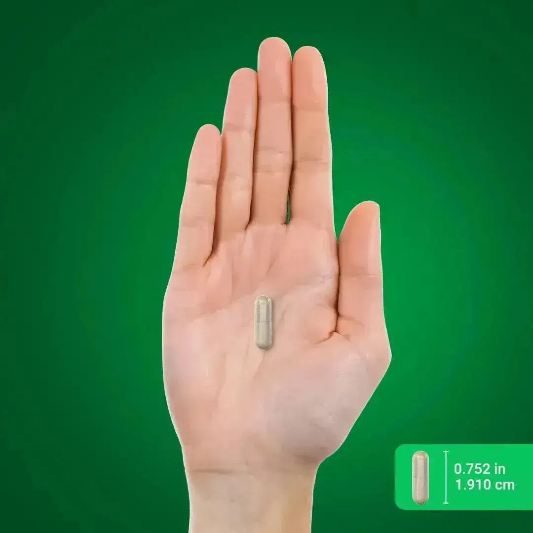 PIPING ROCK - Piping Rock Grapefruit Seed Extract 500Mg. 120 Capsulas - The Red Vitamin MX - Suplementos Alimenticios - {{ shop.shopifyCountryName }}