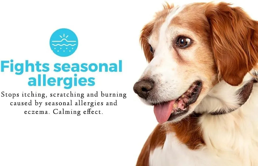 PET CHEF - Pet Chef Respiratory Immune + Dog Allergy Remedy 140 Masticables - The Red Vitamin MX - Remedios Para La Picazón De Perros - {{ shop.shopifyCountryName }}