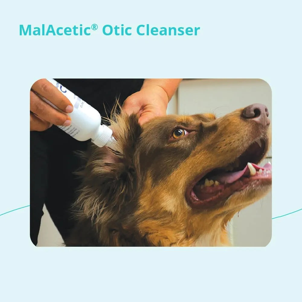 DECHRA - Dechra Malacetic Otic Cleanser for Dogs and Cats 4 Fl.Oz. - The Red Vitamin MX - Cuidado Del Oído De Perros - {{ shop.shopifyCountryName }}