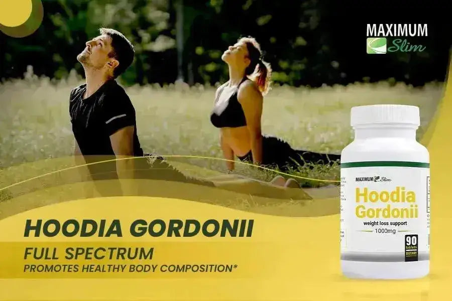 MAXIMUM SLIM - Maximum Slim Hoodia Gordonii 60 Capsulas - The Red Vitamin MX - Suplementos Alimenticios - {{ shop.shopifyCountryName }}