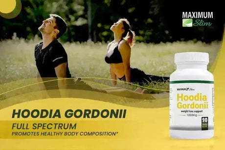 MAXIMUM SLIM - Maximum Slim Hoodia Gordonii 60 Capsulas - The Red Vitamin MX - Suplementos Alimenticios - {{ shop.shopifyCountryName }}