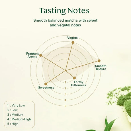 VAHDAM - VAHDAM Matcha Green Tea Powder 25Gr. - The Red Vitamin MX - Suplementos Alimenticios - {{ shop.shopifyCountryName }}