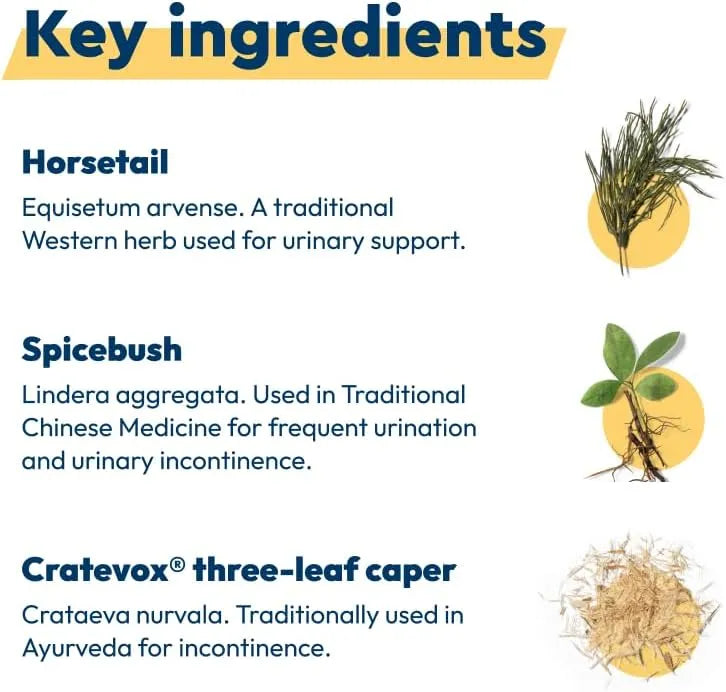 UQORA - Uqora in Control Bladder Support 60 Capsulas - The Red Vitamin MX - Suplementos Alimenticios - {{ shop.shopifyCountryName }}