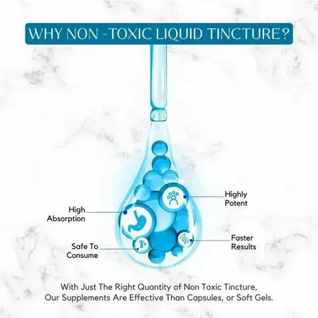 ABSONUTRIX - Absonutrix Huperzine-A Liquid 400mcg 4 Fl.Oz. - The Red Vitamin MX - Suplementos Alimenticios - {{ shop.shopifyCountryName }}