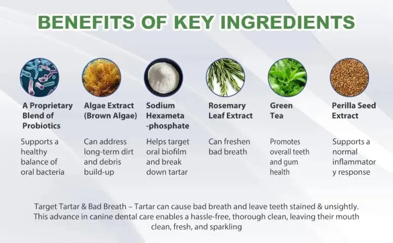 EMAN - EMAN Dog Teeth Cleaning Powder 120Gr. - The Red Vitamin MX - Cuidado Dental Para Perros - {{ shop.shopifyCountryName }}