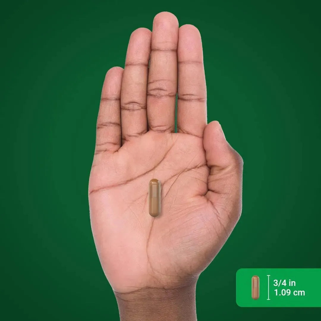 PIPING ROCK - Piping Rock Ceylon Cinnamon 2500Mg. 120 Capsulas - The Red Vitamin MX - Suplementos Alimenticios - {{ shop.shopifyCountryName }}