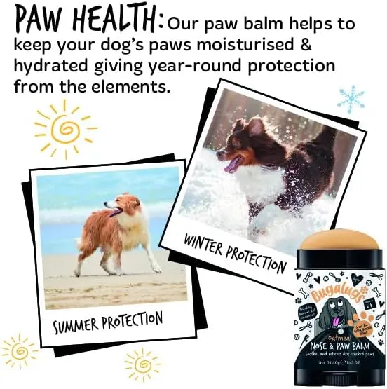 BUGALUGS - BUGALUGS Dog Paw Pad Balm & Dog Nose Balm 40Gr. - The Red Vitamin MX - Remedios Para La Picazón De Perros - {{ shop.shopifyCountryName }}