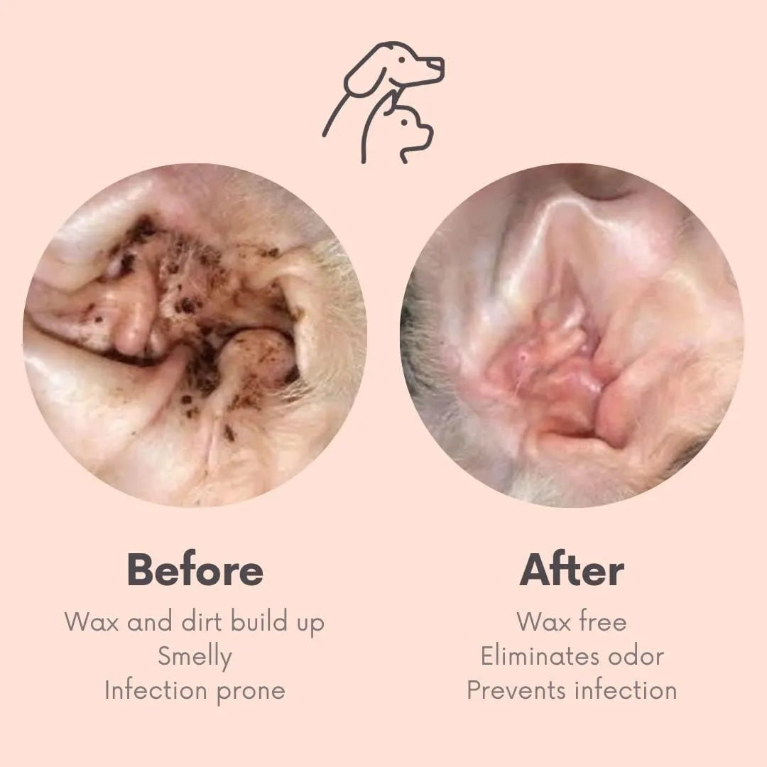 CLEAN PET - Clean Pet Eye & Ear Pet Wipes Rosewater 100 Toallitas - The Red Vitamin MX - Cuidado De Los Ojos De Los Perros - {{ shop.shopifyCountryName }}