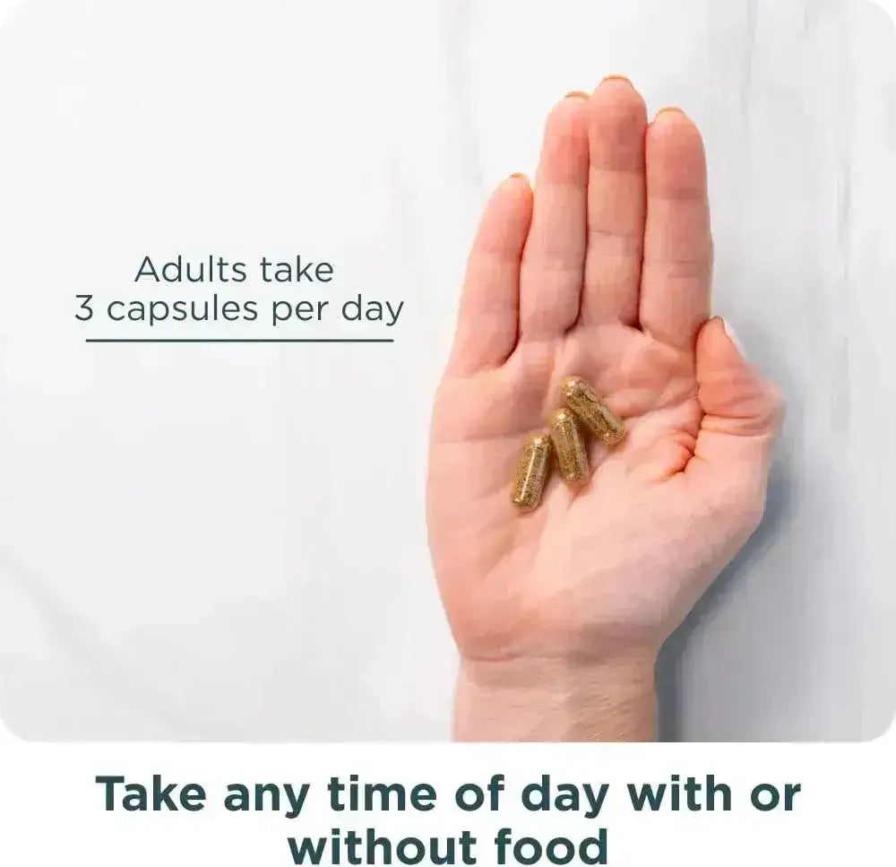 ANCIENT NUTRITION - Ancient Nutrition Advanced Collagen Protein Lean with Probiotics 90 Capsulas - The Red Vitamin MX - Suplementos Alimenticios - {{ shop.shopifyCountryName }}