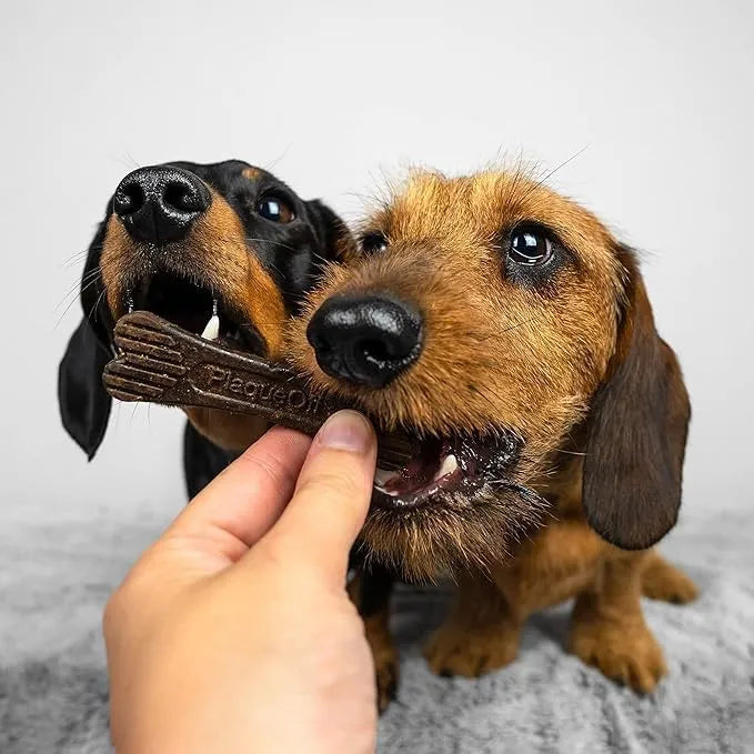 PRODEN - Proden PlaqueOff Sytem Mini Dental Care Bones for Dogs 20 Piezas - The Red Vitamin MX - Cuidado Dental Para Perros - {{ shop.shopifyCountryName }}