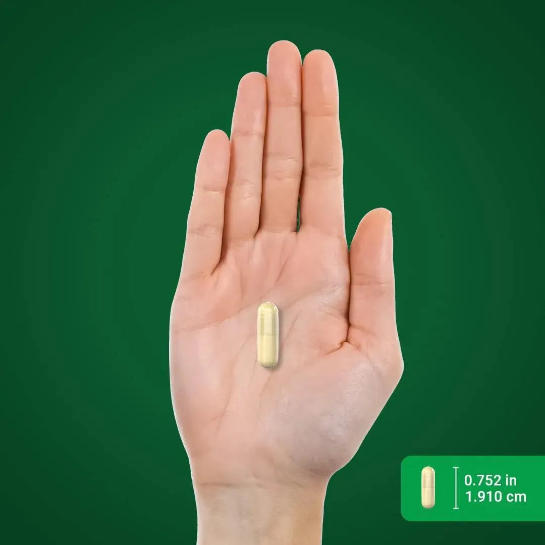 PIPING ROCK - Piping Rock Ceylon Cinnamon with Gymnema & Mulberry 2000Mg. 180 Capsulas - The Red Vitamin MX - Suplementos Alimenticios - {{ shop.shopifyCountryName }}