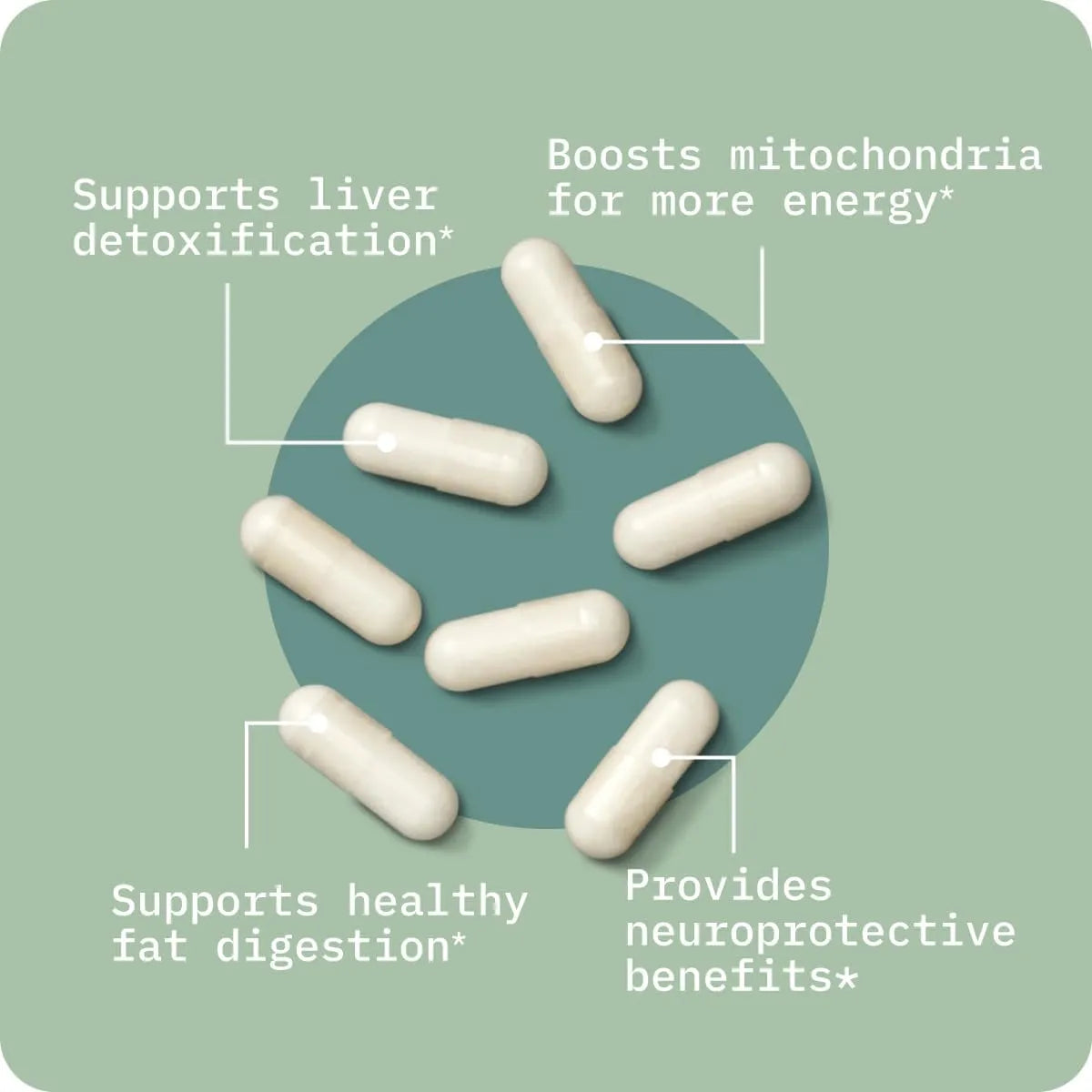 BODYBIO - BodyBio Tudca for Liver Health 60 Capsulas - The Red Vitamin MX - Suplementos Alimenticios - {{ shop.shopifyCountryName }}
