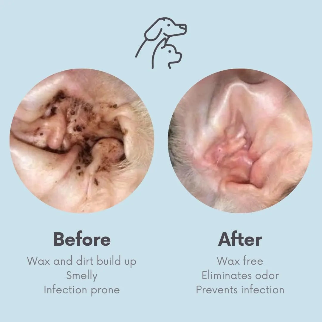 CLEAN PET - Clean Pet Eye & Ear Pet Wipes Original 100 Toallitas - The Red Vitamin MX - Cuidado De Los Ojos De Los Perros - {{ shop.shopifyCountryName }}