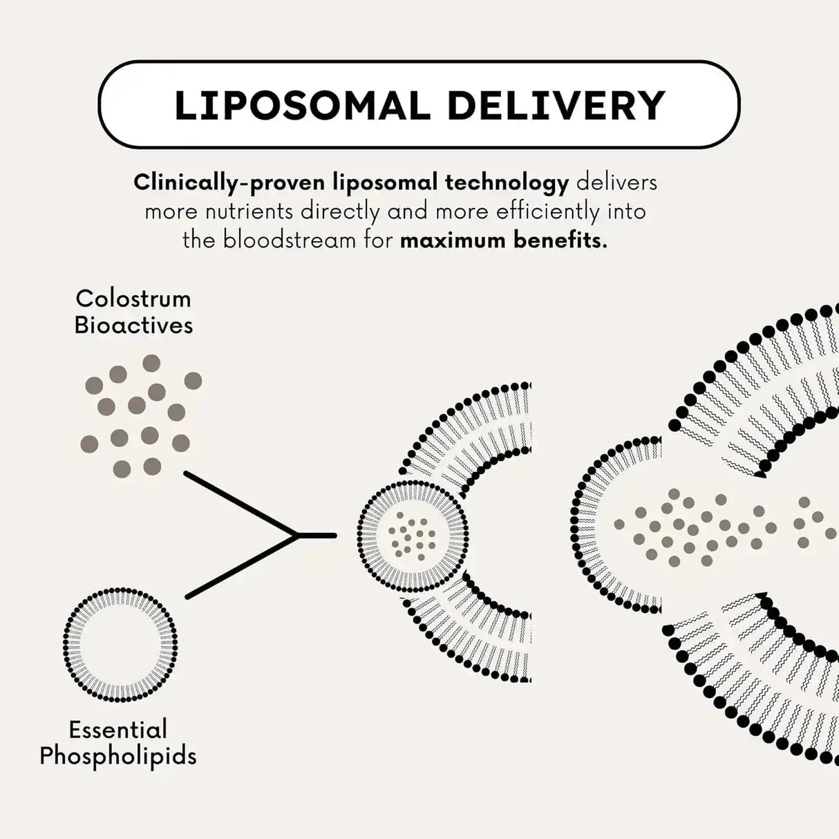 FAVOR - Favor Bovine Colostrum Powder 120Gr. - The Red Vitamin MX - Suplementos Alimenticios - {{ shop.shopifyCountryName }}