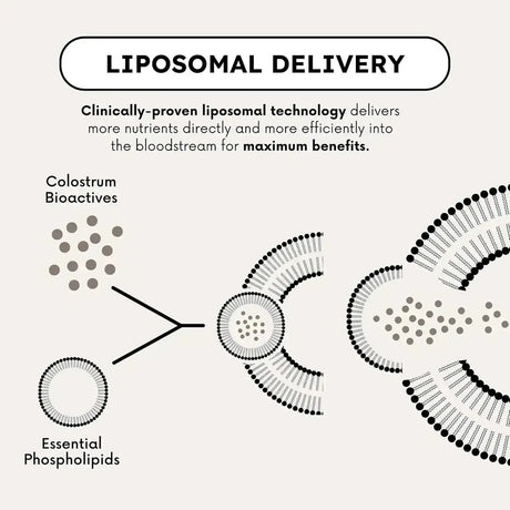 FAVOR - Favor Bovine Colostrum Powder 120Gr. - The Red Vitamin MX - Suplementos Alimenticios - {{ shop.shopifyCountryName }}